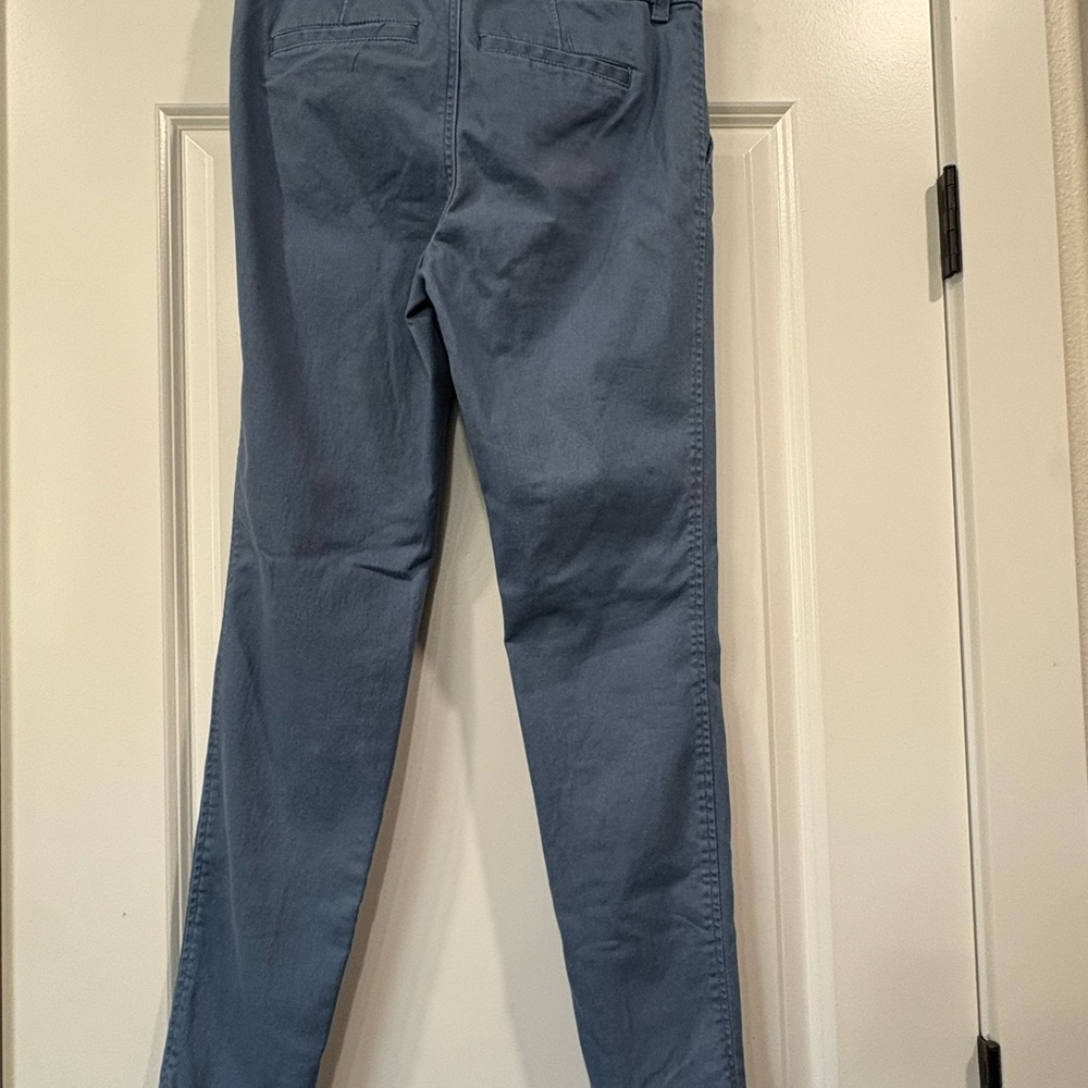 41 Hawthorn Blue Ankle Pants